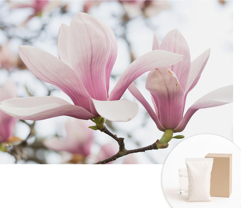 Fototapete - Wandbilder für Wohnzimmer - 208x146 cm - Dekorative Wandfolie - Modernes Design für Wanddekoration - Tapeten für Innenräume - Magn...