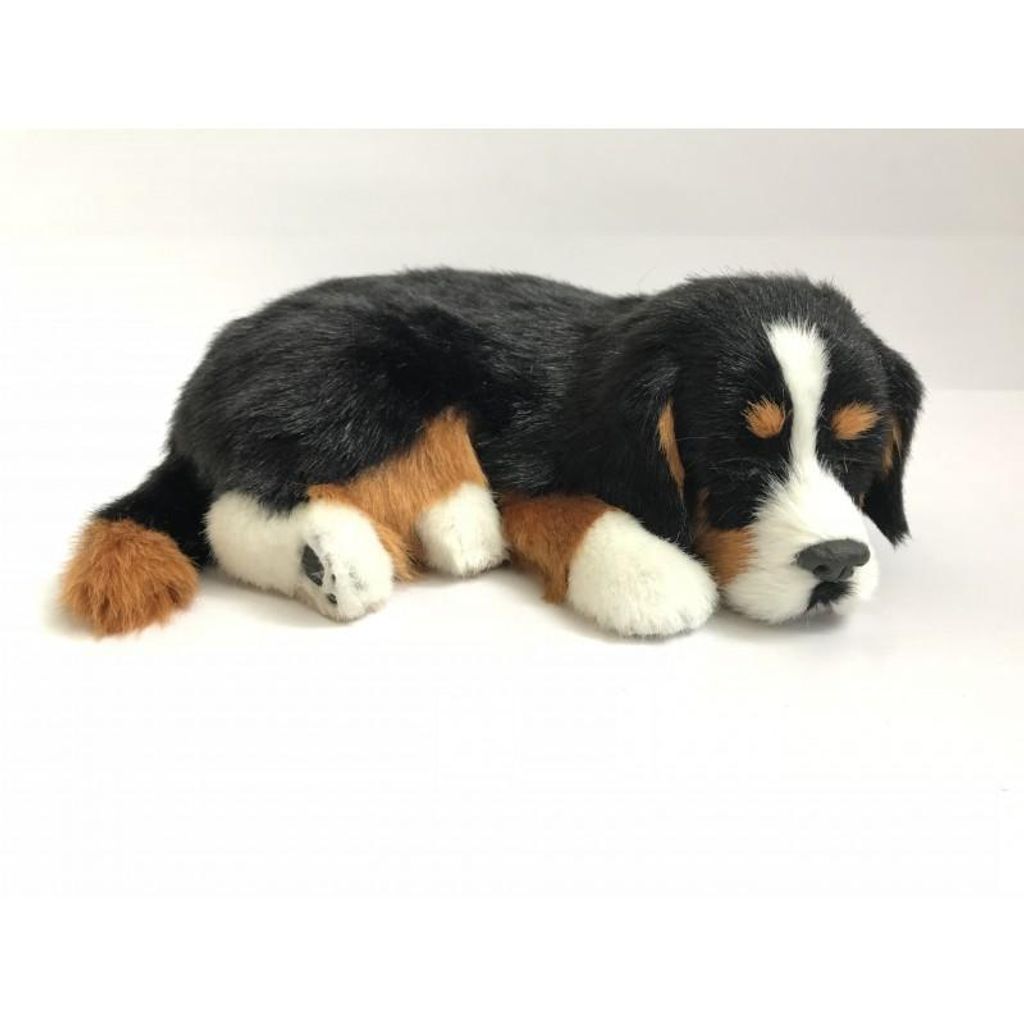 Perfect Petzzz 96644 Berner Sennenhund