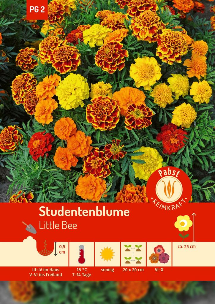 Pabst Keimkraft - Semi di calendula Little Bee - 173710 Immagine del prodotto 