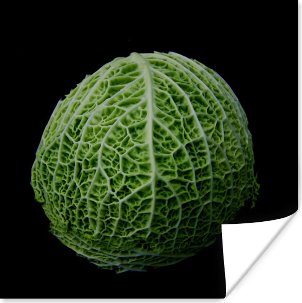 MuchoWow Poster Ein Kohlkopf auf schwarzem Hintergrund 50x50 cm - Wohnzimmerdekoration