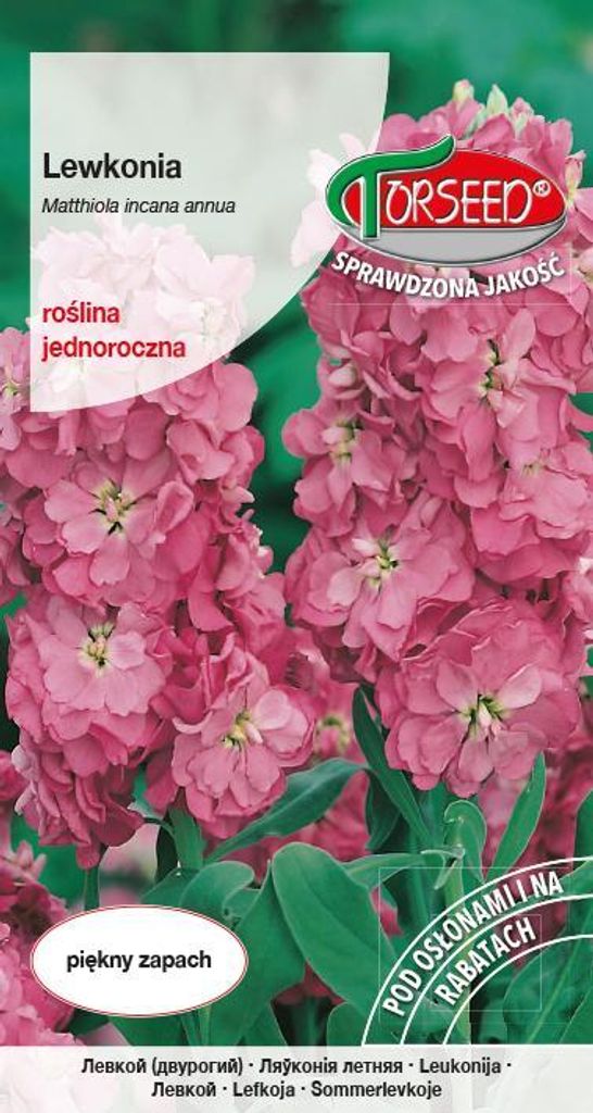 Samen von Excelsior summer lilac-pink levconia - Torseed