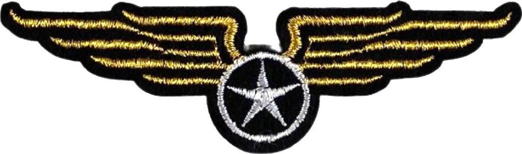 Luftwaffenfliegerflügel-Stern-Emblem-Aufnäher zum Aufbügeln