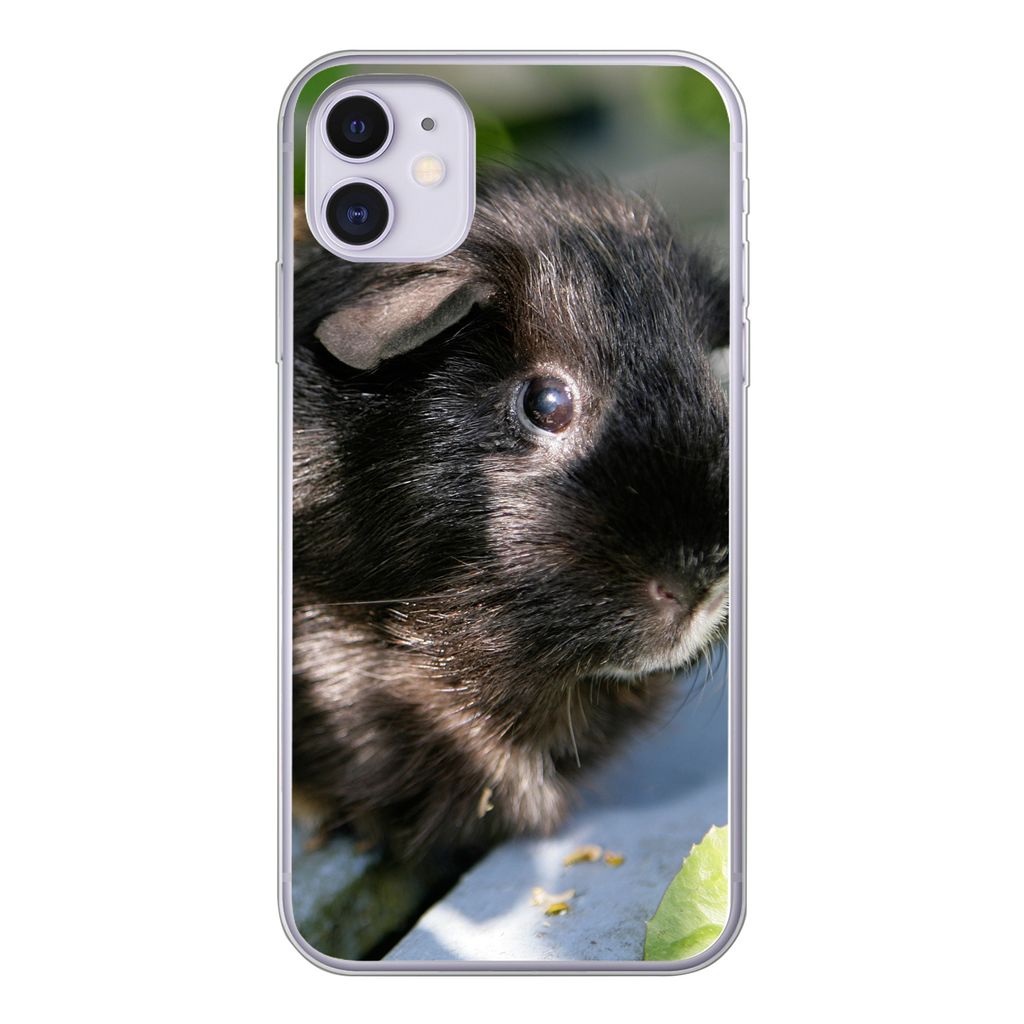 MuchoWow Handyhülle Schutzhülle Hülle für iPhone 11 Meerschweinchen im Garten Silikon Softcase Handy Hülle - Handytasche