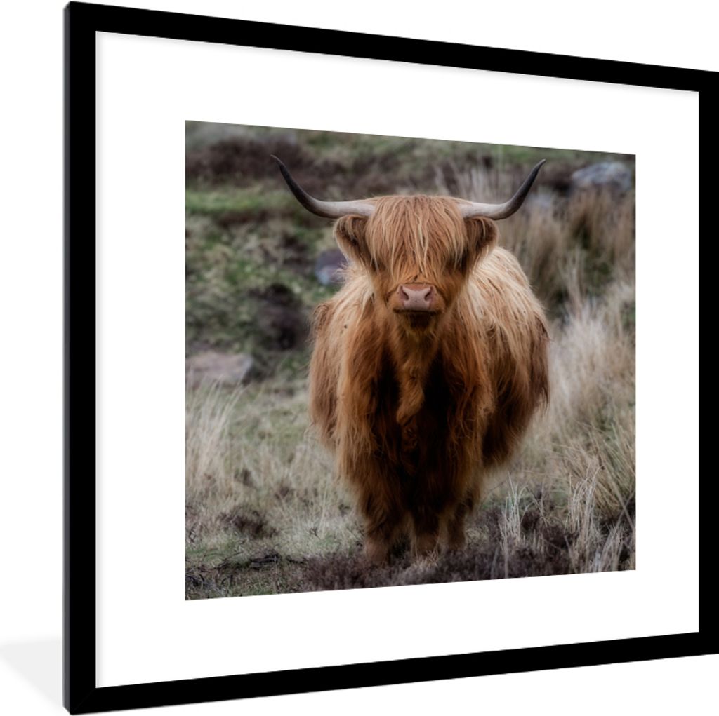 MuchoWow Gerahmtes Poster Schottischer Hochländer - Moos - Gras 40x40 cm - Poster mit Schwarzem Bilderrahmen Wandposter Rahmen Foto Bilder - Pos...