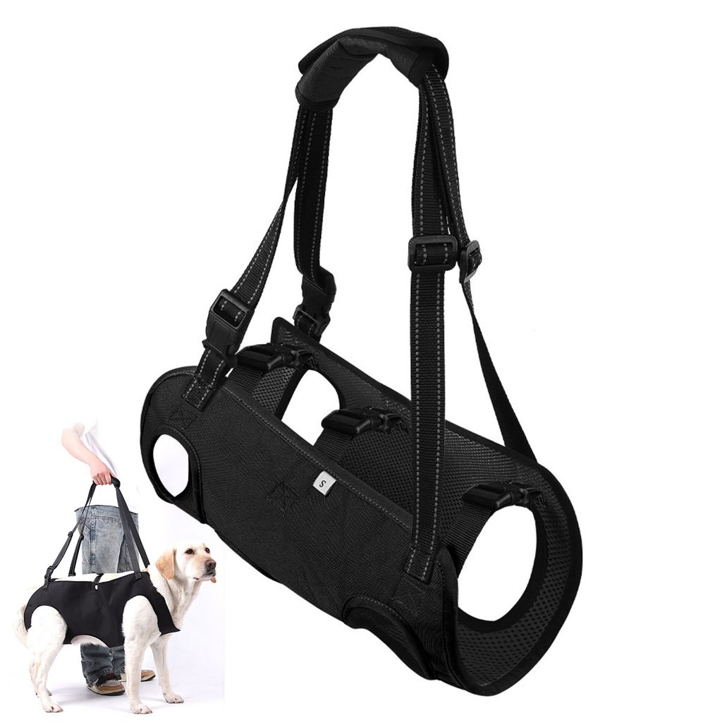 A person is holding a black dog support harness with a dog wearing it.