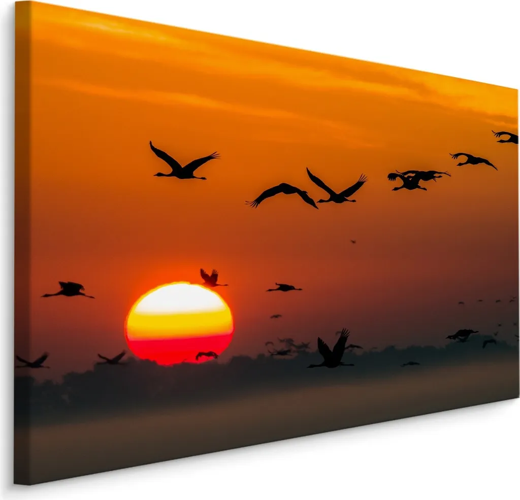 Carta da Parati Artistica Gru Orientali 100x70 cm Tela Decorativa XXL