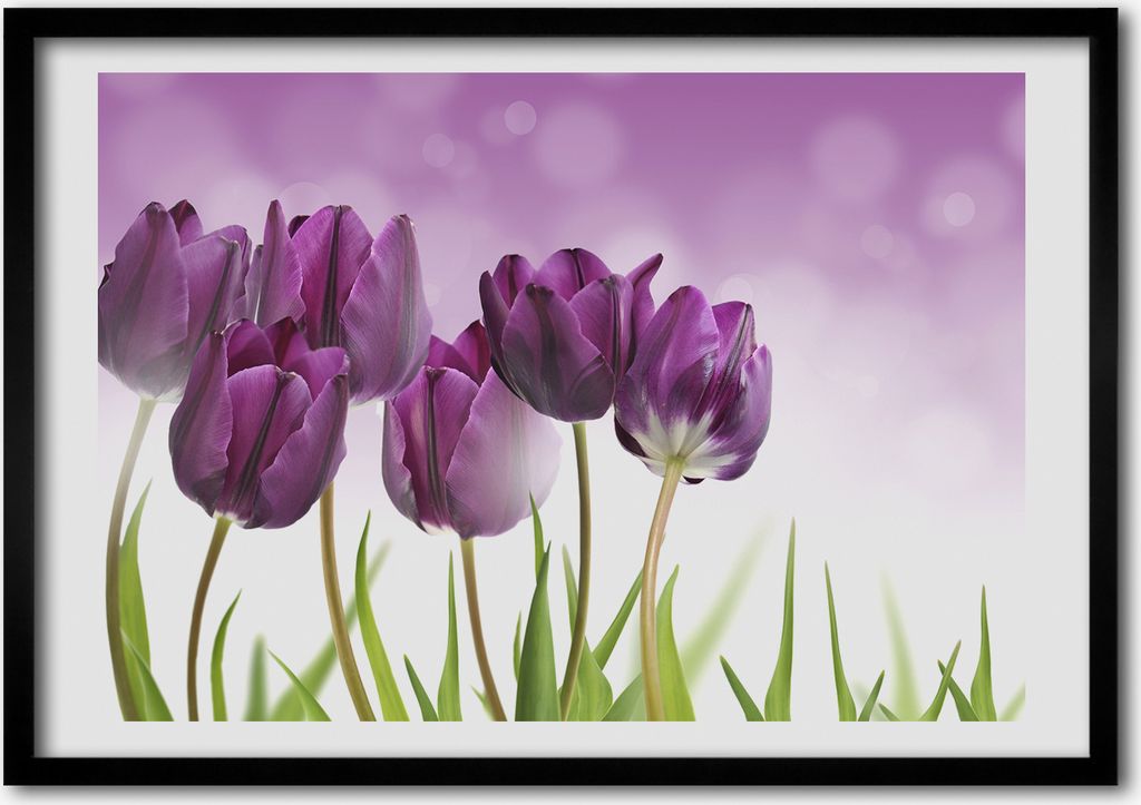 Bild - Bilder - Bilderrahmen - 70 cm x 50 cm - MDF-Rahmen, Wandkunst Filets Tulpen