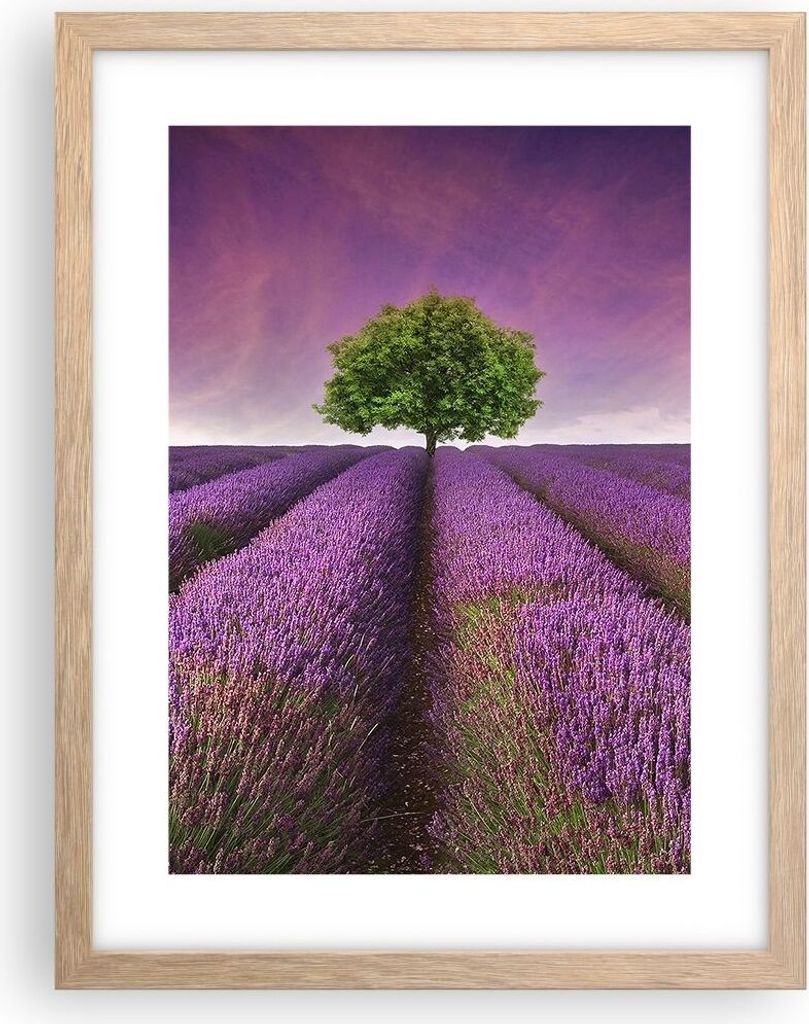 Gerahmtes Poster - Rahmen in heller Eiche - Wiese lavenda Sommer Landschaft - 30x40 cm - Wand Bild - Wanddeko - Wandbilder - Wandposter - Bilderrah...