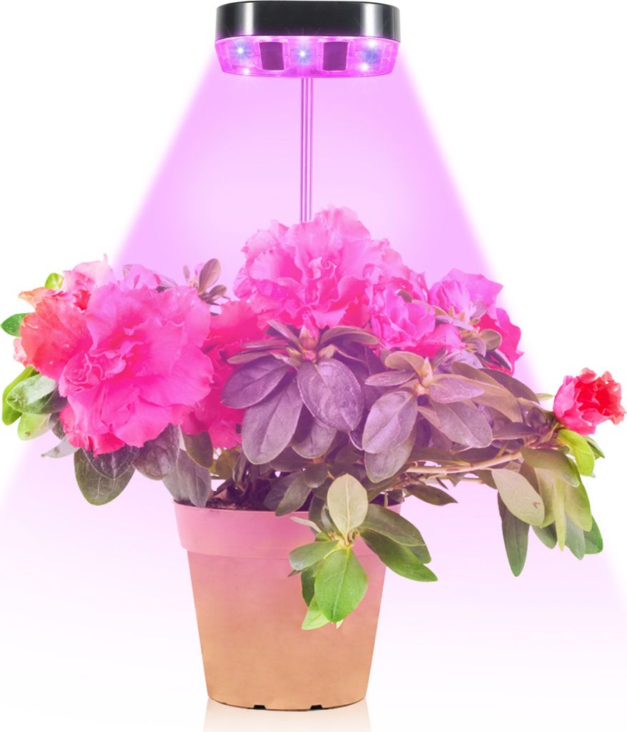 10W, Pflanzenlampe LED Vollspektrum, Pflanzenlicht Wachstumslampe für Zimmerpflanzen, Grow Light mit Timer, 5 Helligkeit