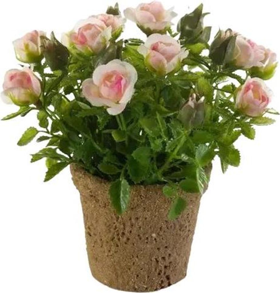 Emerald Künstliche Rose - Lucy | 13 cm, inkl. Dekotopf, für drinnen, Kunstblume, wie echt, Allergiker geeignet, pflanzliche Dekoration Praxis, Of...