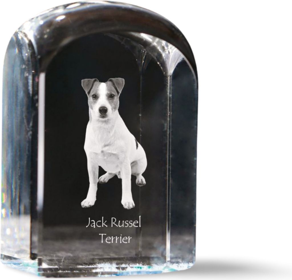 Jack Russell Terrier - Kristallwürfel mit Bild, Hundebild im Kristall, sechseckiger Papierclip von Art-Dog.
