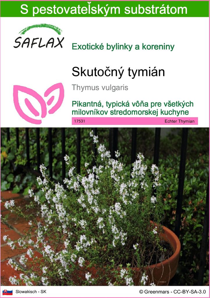 SAFLAX - Skutočný tymián - Thymus vulgaris - 200 Semená - S Obrázok produktu 