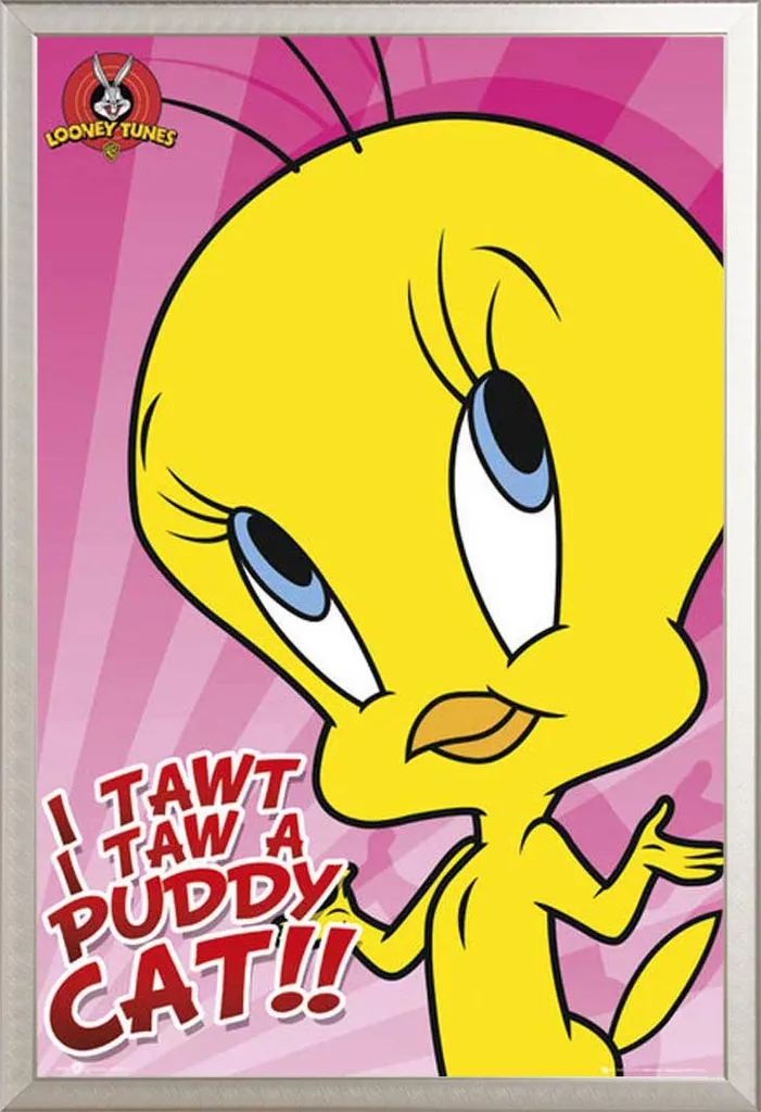 Set Poster Tweety + Cornice Shinsuke Alluminio Argento e Acrilico