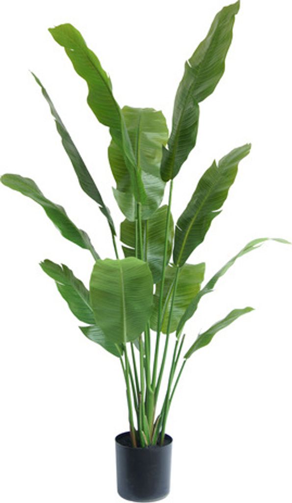 Künstliche Pflanze Strelitzia Nicolai 165 cm
