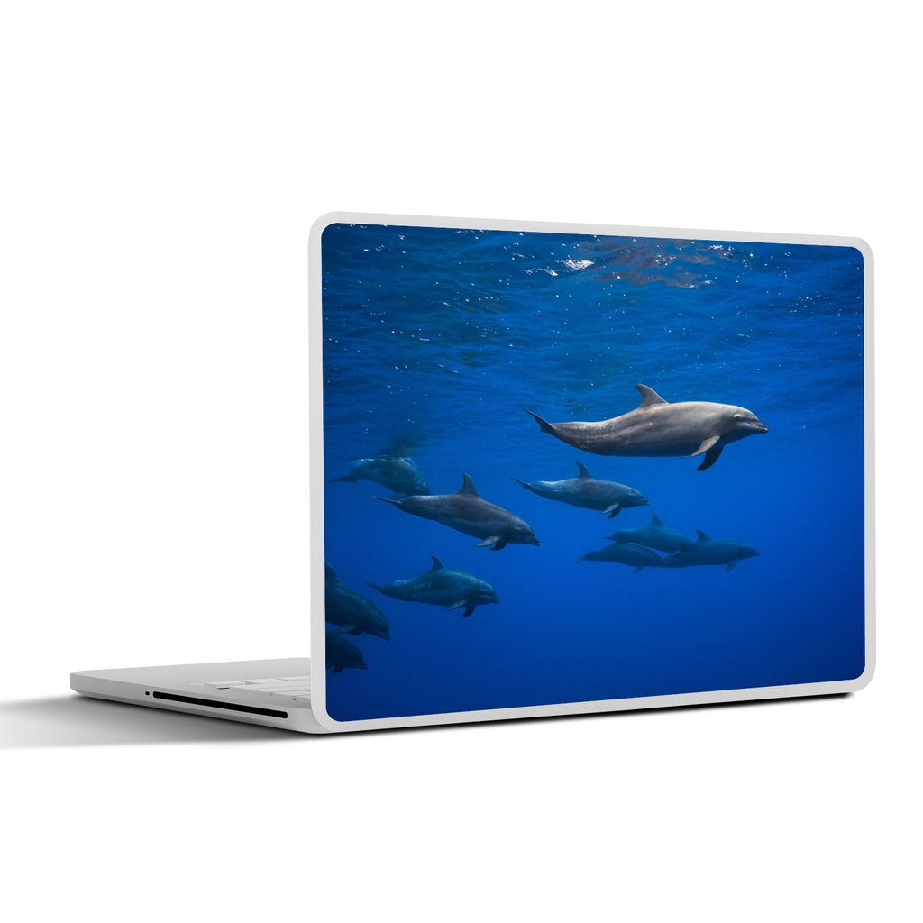MuchoWow Laptop Aufkleber Sticker Cover Delfine - Wasser - Blau 40x30 cm - Laptop Dekoration - Selbstklebend