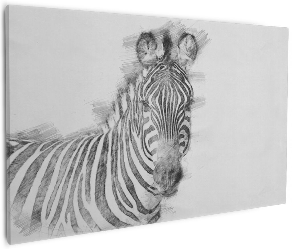 Wallario Premium Leinwandbild Zebra in schwarz weiß - Bleistift Zeichnung in Größe 60 x 90 cm