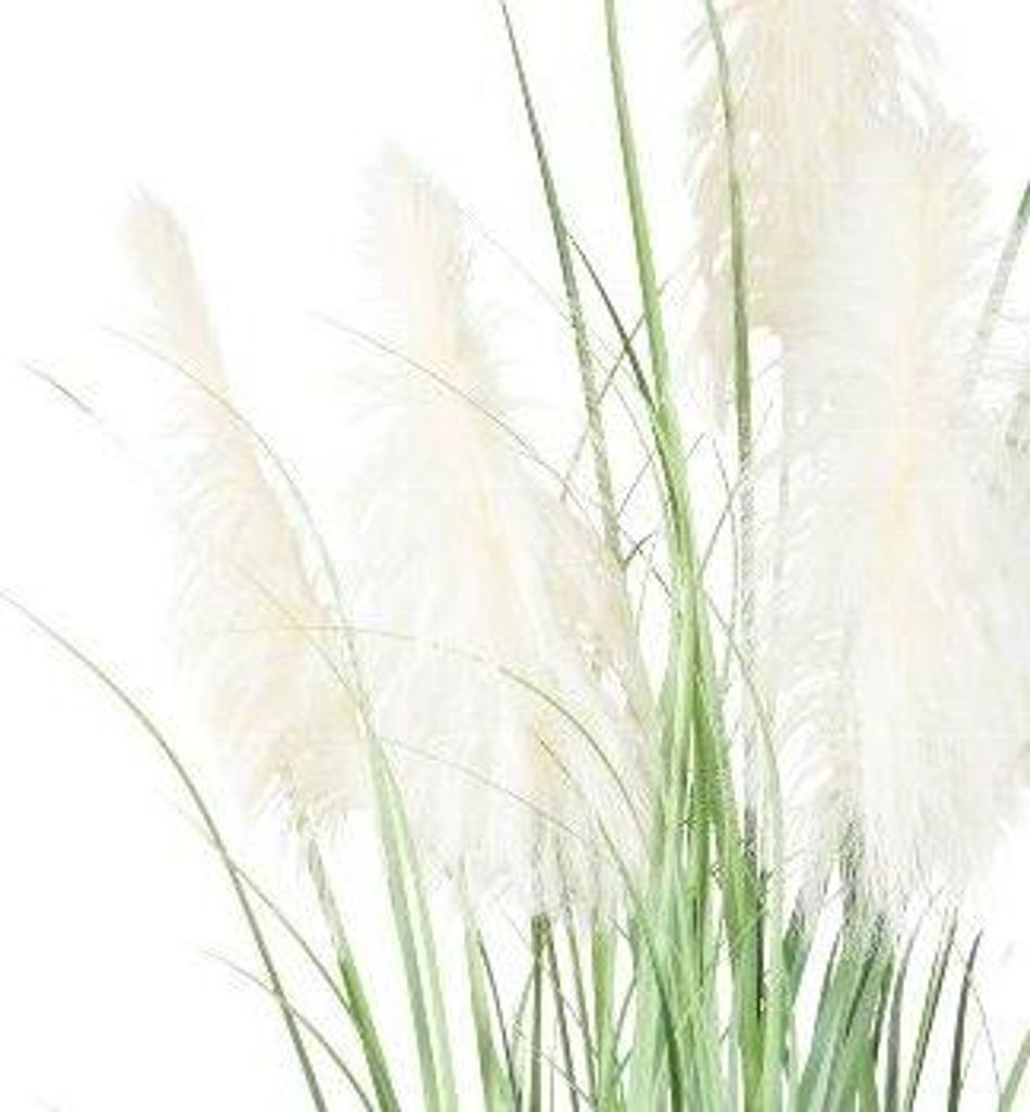 artplants.de Künstliches Pampasgras QUINAL im Dekotopf, Rispen, Creme, 270cm - Deko Pampasgras