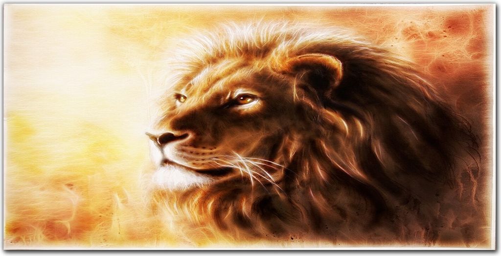 Coloray Bild aus Leinwand 100x50 Leinwand Dekoration - Tier Katze Löwe