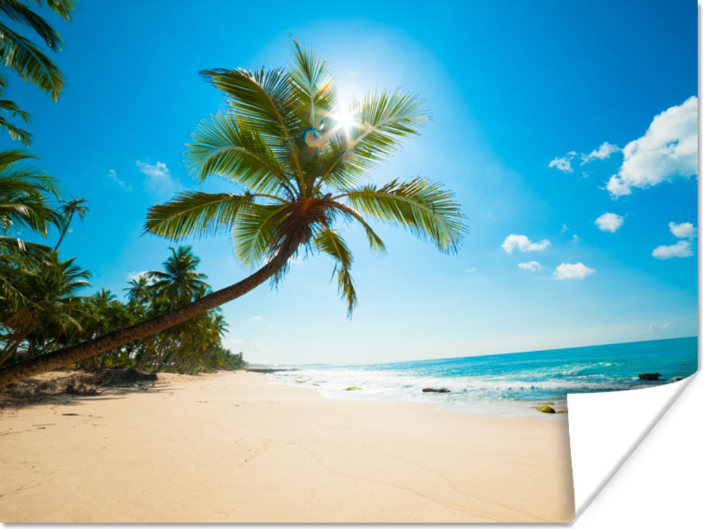 MuchoWow Poster Strand - Meer - Sonne - Palme 120x90 cm - Wandbild