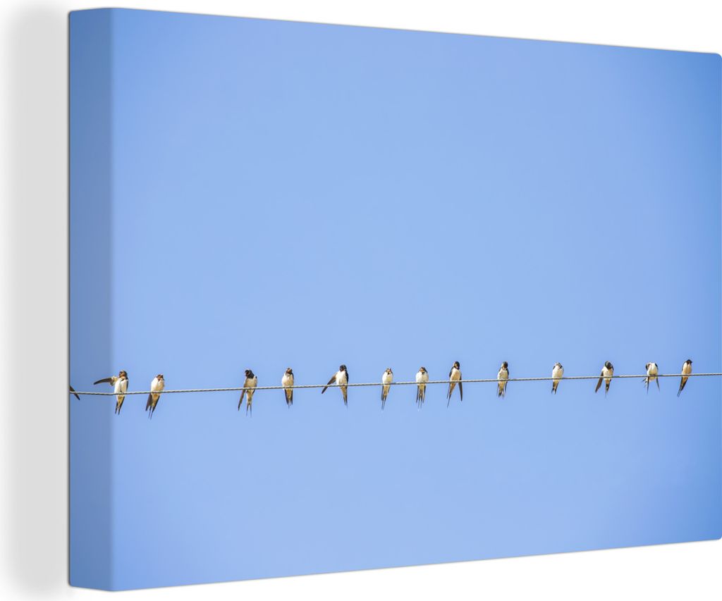 OneMillionCanvasses - Leinwandbilder - 140x90 cm, Vogels - Stromkabel - Blau, Wandbilder Kunstdruck Wanddekoration - Foto auf Leinwand - Gemälde...