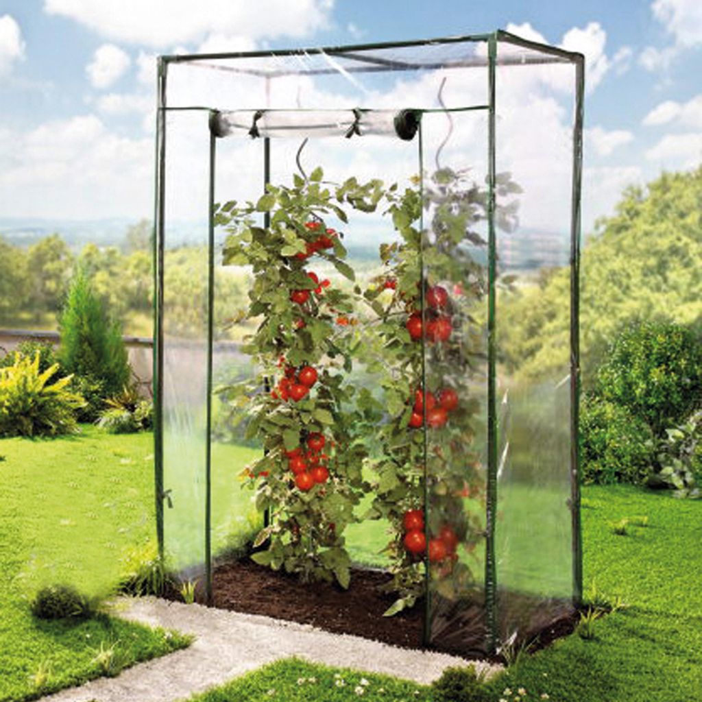 Tomaten-Gewächshaus mit PE-Abdeckung, 100 x 50 x 150 cm Produktbild 