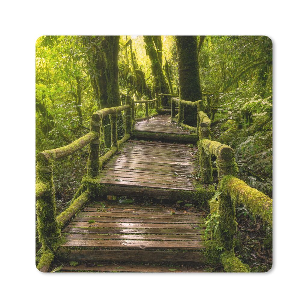 MuchoWow® Mauspad Mousepad Schöner Regenwald und Dschungel Produktbild 