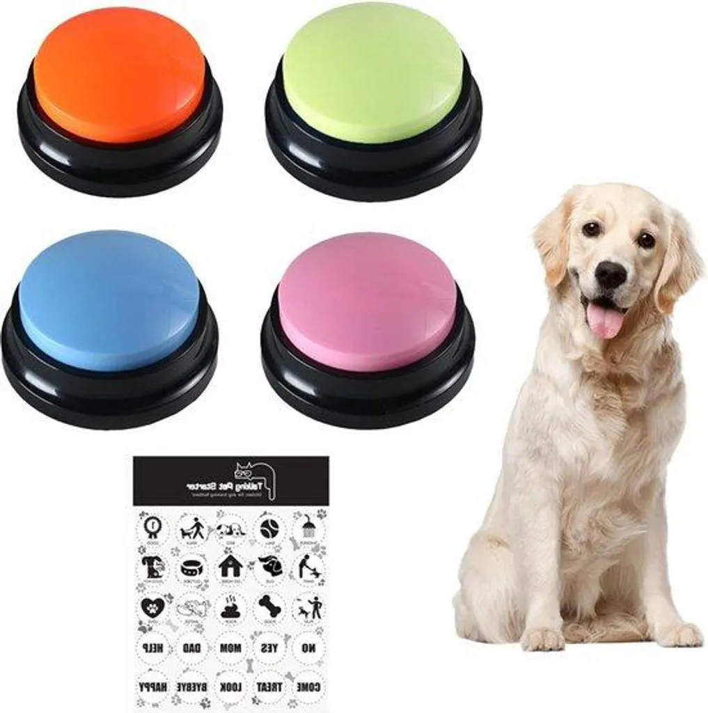 Buzzer interactif pour chien personnalisable - Set de 4 boutons Été