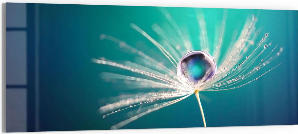 DEQORI Glasbild Echtglas 150x60 cm 'Inszenierte Wasserperle' Wandbild Bild modern Deko