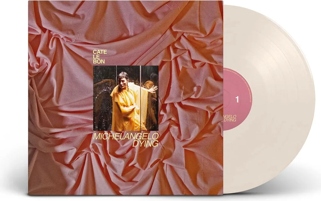 Vinyle Michelangelo Dying Cate Le Bon Album LP Blanc Os avec Code Digital - 2