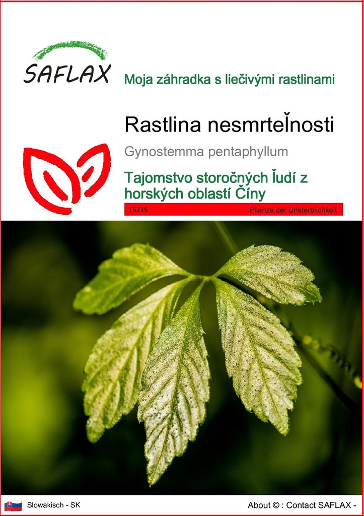 SAFLAX - rastlina nesmrteľnosti - Gynostemma pentaphyllum - Obrázok produktu 