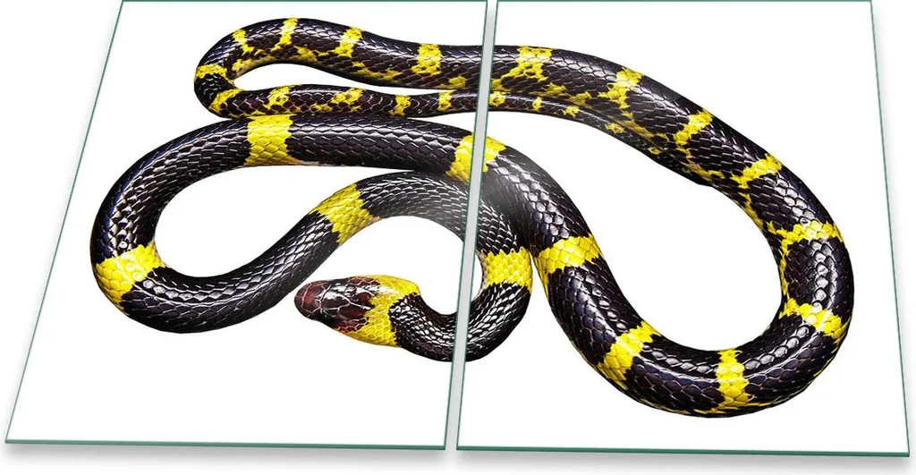 Copri Fornelli in Vetro Artistico 2 Pezzi 40x52 - Tema Animali Vivi - 1