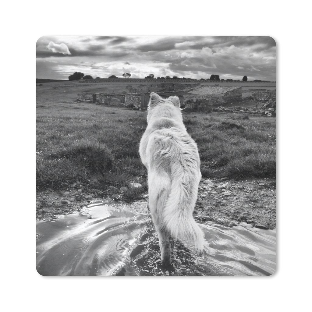 MuchoWow Mauspad Mousepad Wolf mit Blick auf die Landschaft in Schwarz und Weiß 20x20 cm - Mousepads - Maus Mat - Pad - Mausunterlage - Desk Mat...