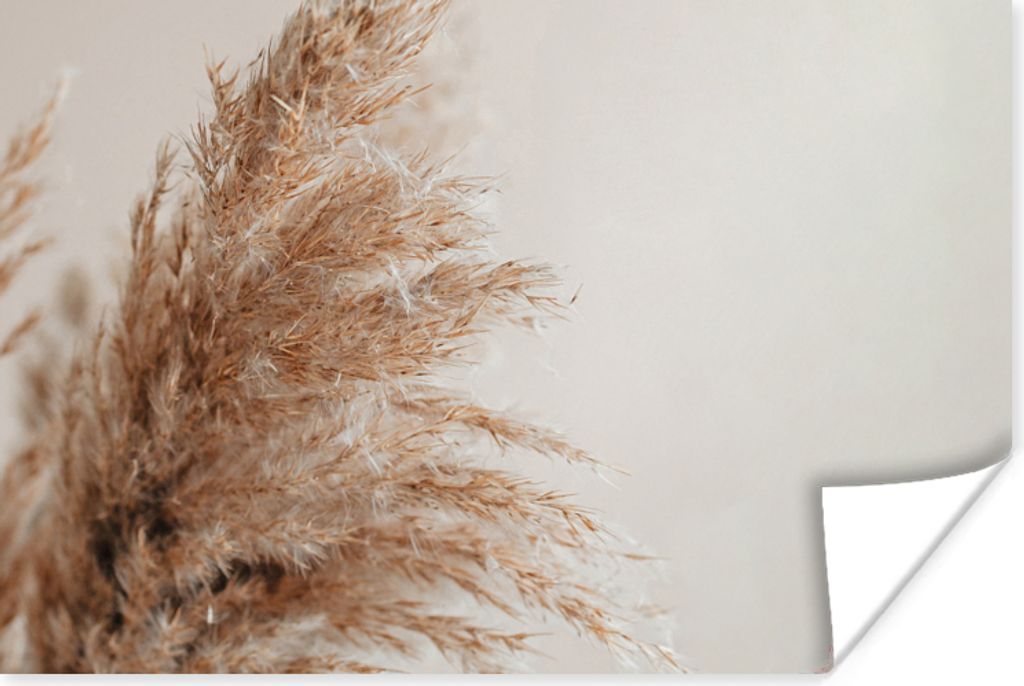 MuchoWow Poster Gras - Pflanzen - Natur - Pampasgras 30x20 cm - Plakate - Print