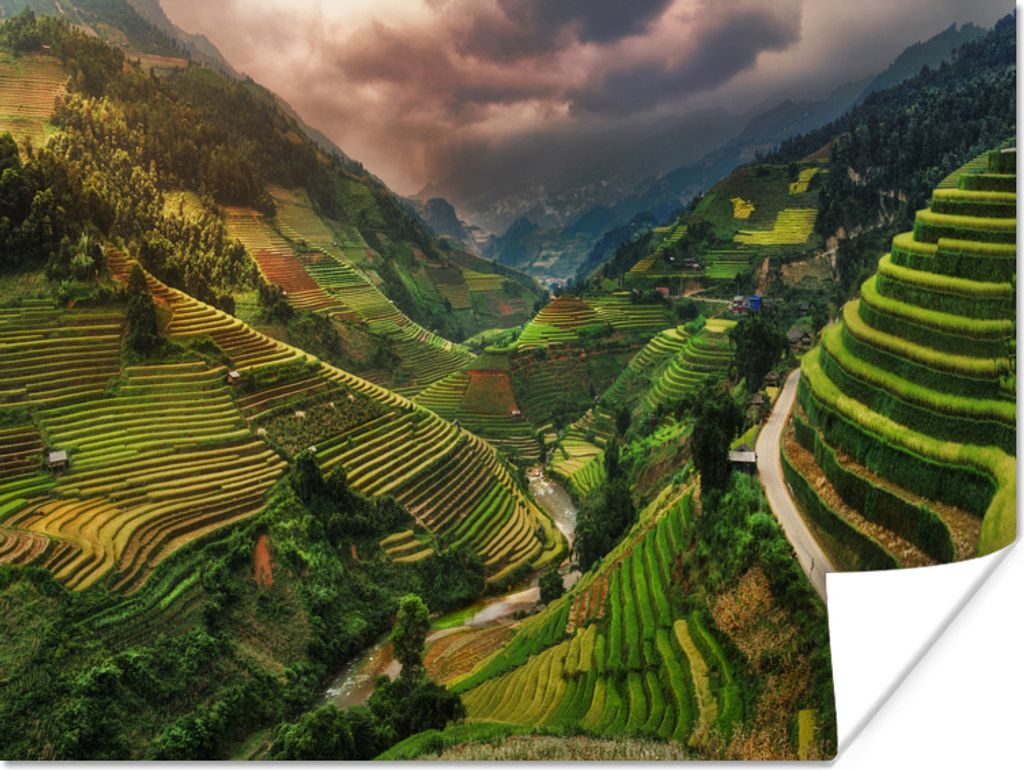 MuchoWow Poster Reisterrassen in Vietnam 160x120 cm - Foto Plakat