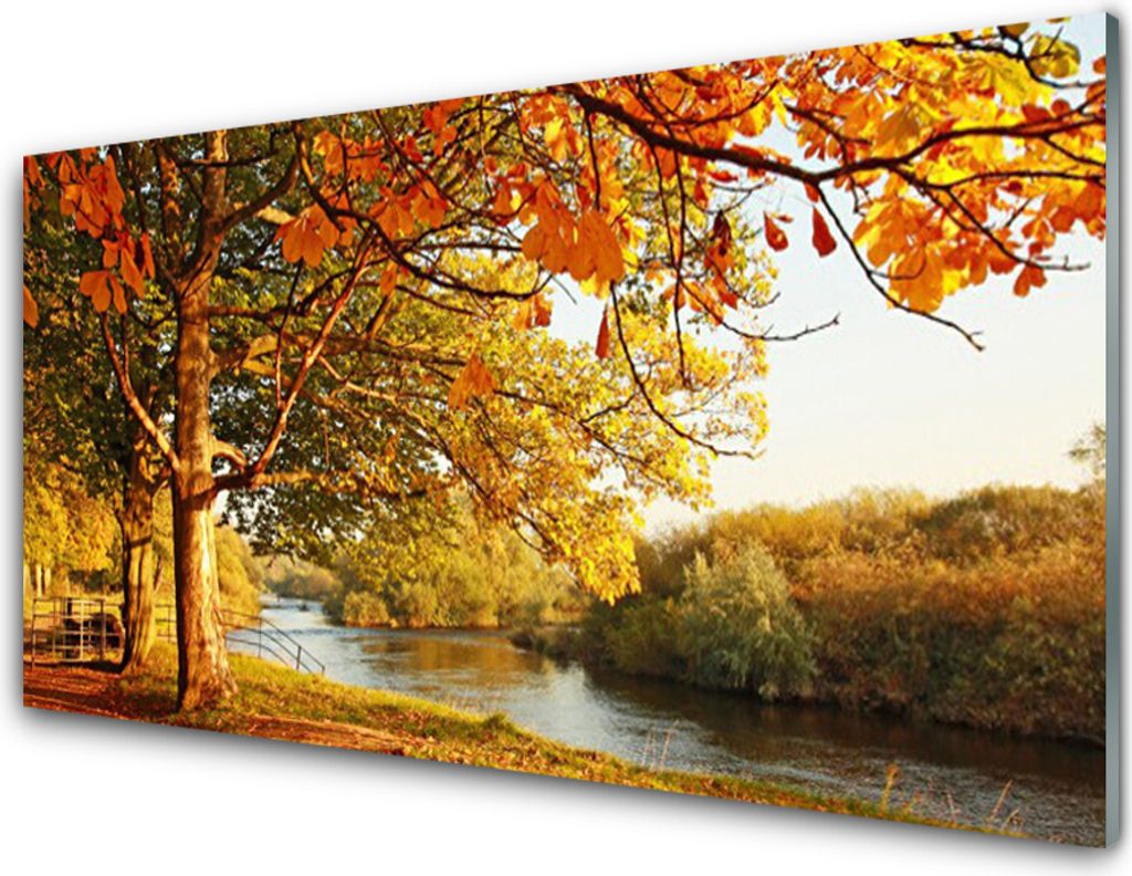 Küchenrückwand aus Glas 100x50cm Spritzschutz Baum See Natur