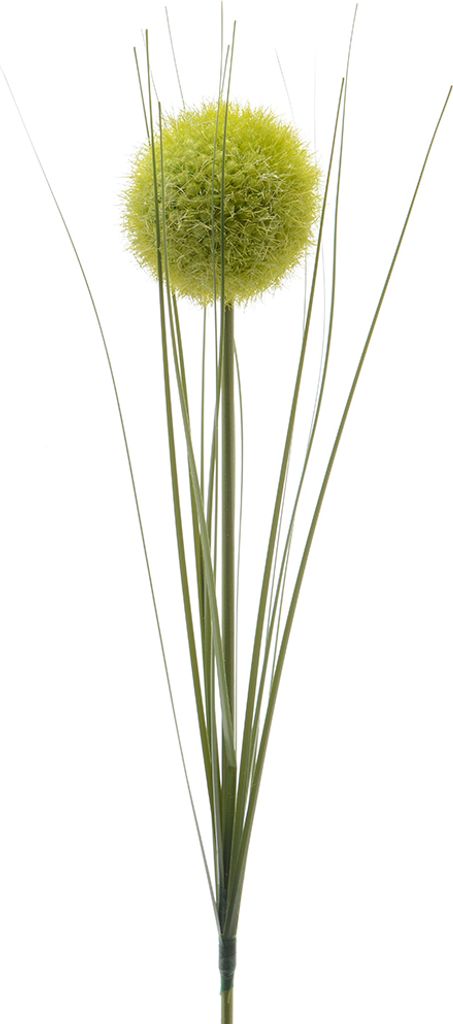 Kunstblumen Allium 66cm grün, 1 Stück Produktbild 