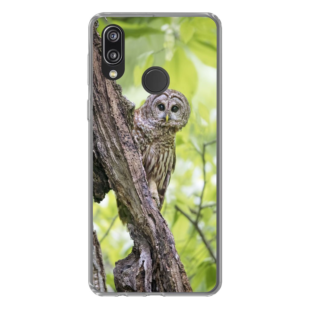 MuchoWow Handyhülle Schutzhülle Hülle für Huawei P20 Lite (2020) Eule - Wald - Licht Silikon Softcase Handy Hülle - Kartenhalter