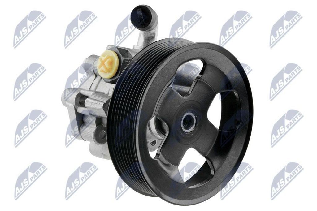 NTY SPW-LR-007 Servolenkung Pumpe Servopumpe für LAND ROVER Range Rover Sport (L320) Hydraulisch