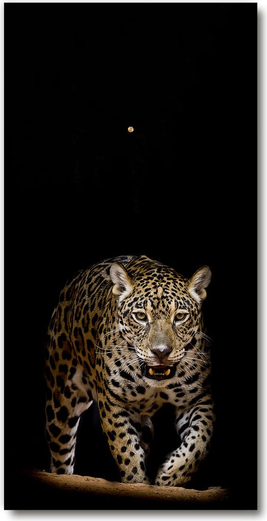 Wanduhr aus Glas – 30x60 cm - Glasbild - Glasuhr - Gehärtetes Glas -Jaguar