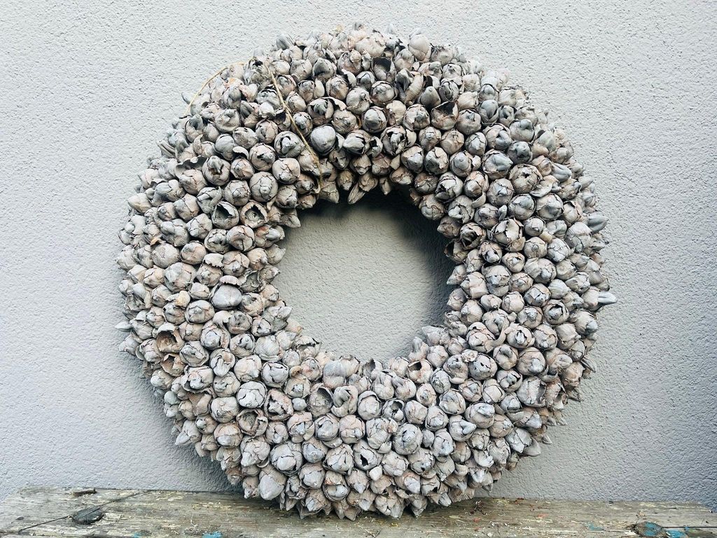 Indoor-Wandkranz aus Kapselsamen 55 cm Durchmesser, Farbe Natur