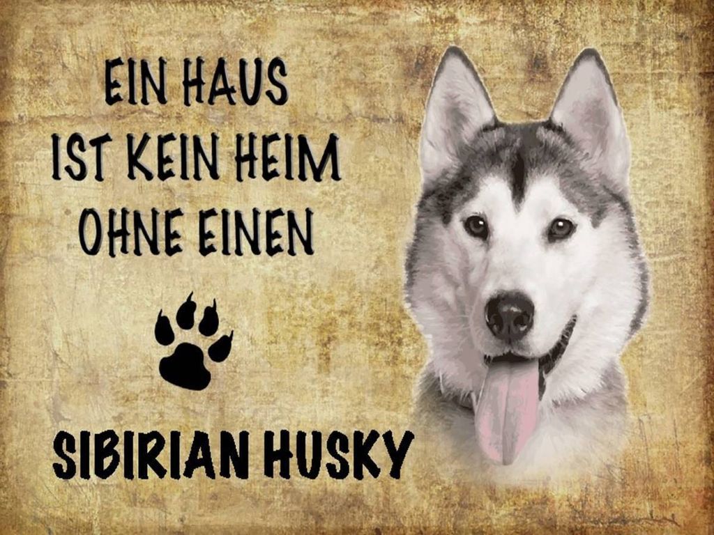 vianmo Holzschild 30x40 cm Sibirian Husky Hund