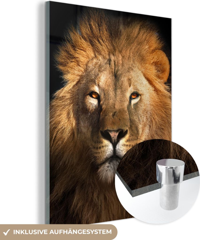 MuchoWow Glasbilder - Bilder auf Wandbild - Foto auf Glas Löwe - Tiere - Schwarz - Hell - Braun - Porträt 30x40 cm Wanddekoration aus Glas - Acry...