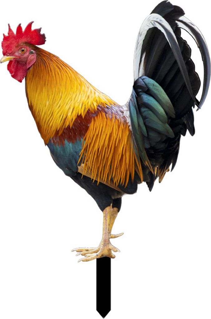 2D Acryl Huhn Gartenstecker - 21x30 Cm Hofdekor | Wetterfeste Gartendekoration Für Beet & Topf