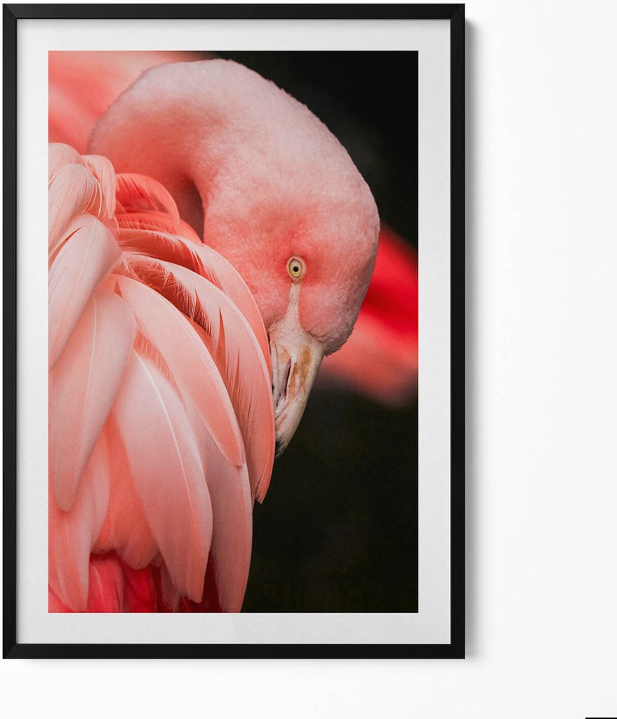 Rosa Flamingo-Vogel– Wandbild mit Rahmen – Gerahmtes Bild – Wanddekoration – 70x100 cm – Schwarz Rahmen