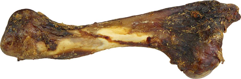 200g / ca. 25 cm - Hirschknochen - Natur mit kräftigem Wildaroma