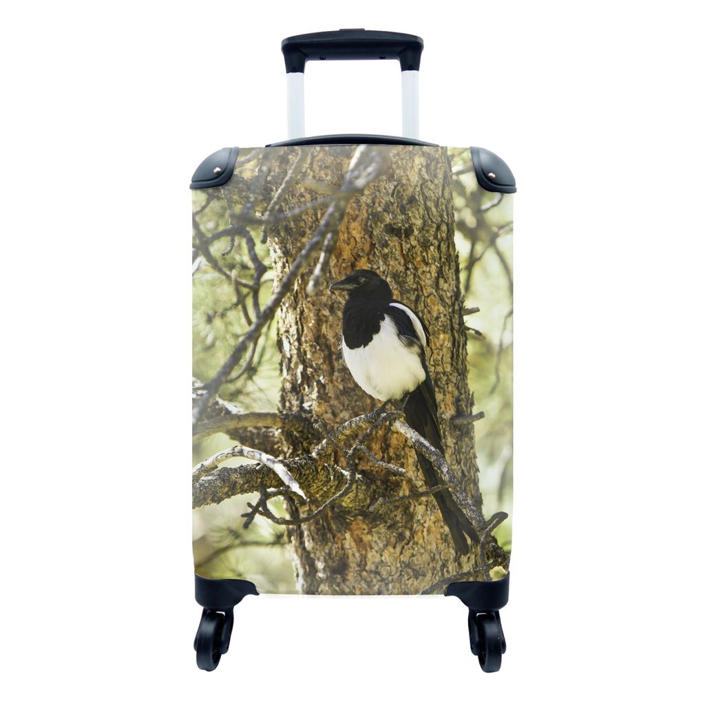 MuchoWow Koffer Handgepäck Trolley Rollkoffer Kleine Reisekoffer mit 4 Rollen - Elster - Baum - Zweig - Cabin Size < 55x40x23 cm & 55x40x20 cm -...