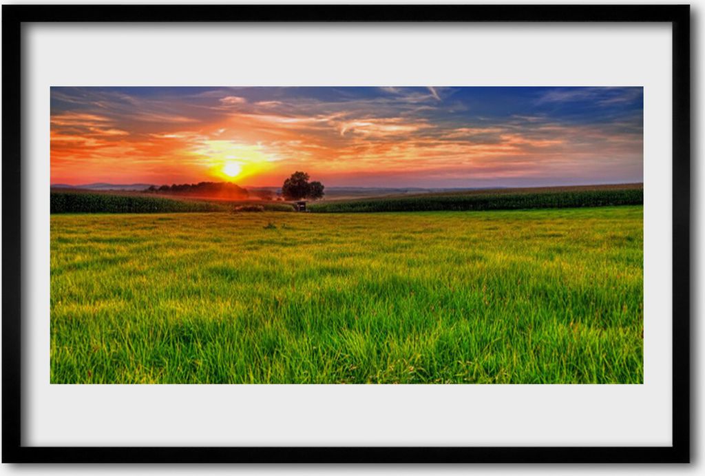 Bild 60x40 MDF-Rahmen Wandkunst Sun Meadow Nature