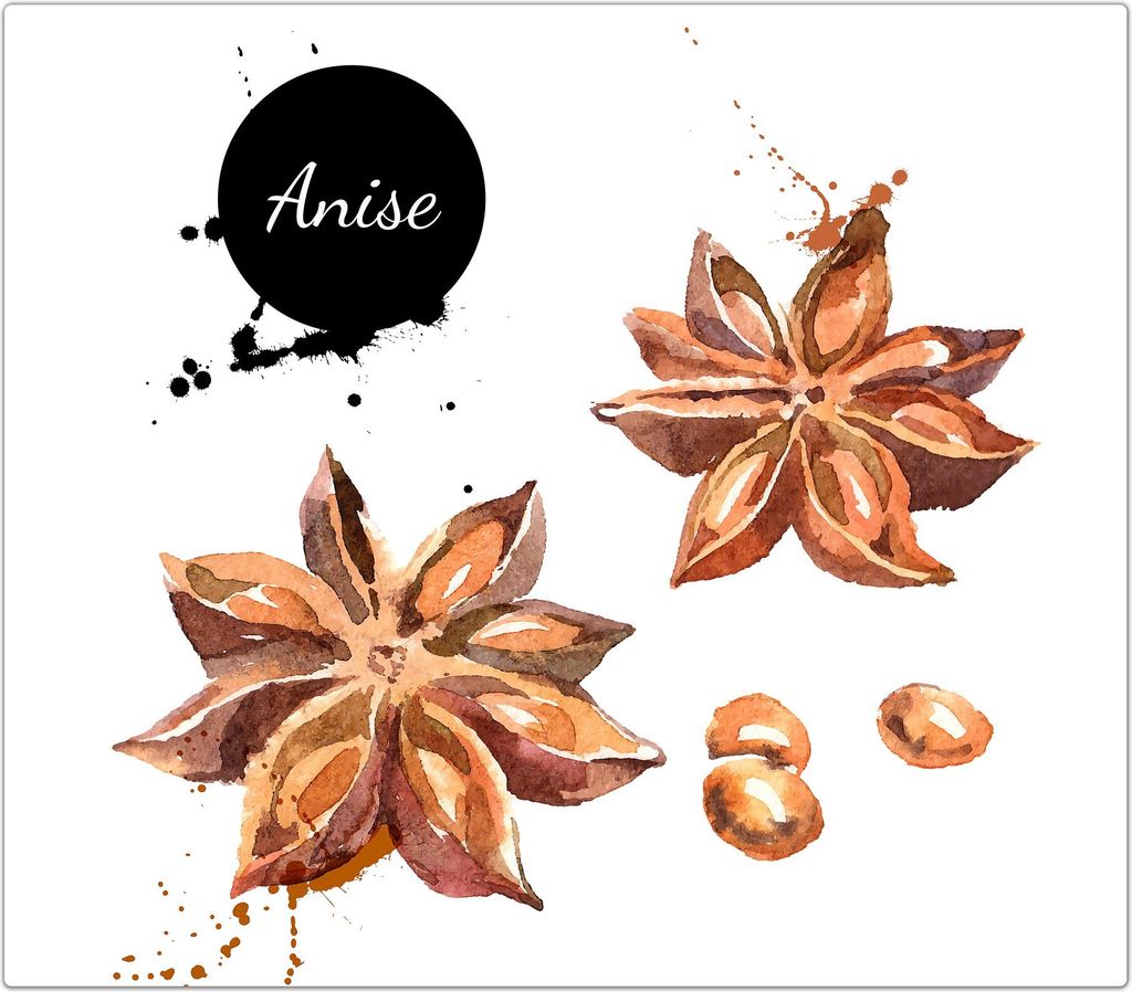 Spritzschutz Herdabdeckplatte Schneidebrett aus Glas Design aus Sternanis 1-Teilig (60x52cm)