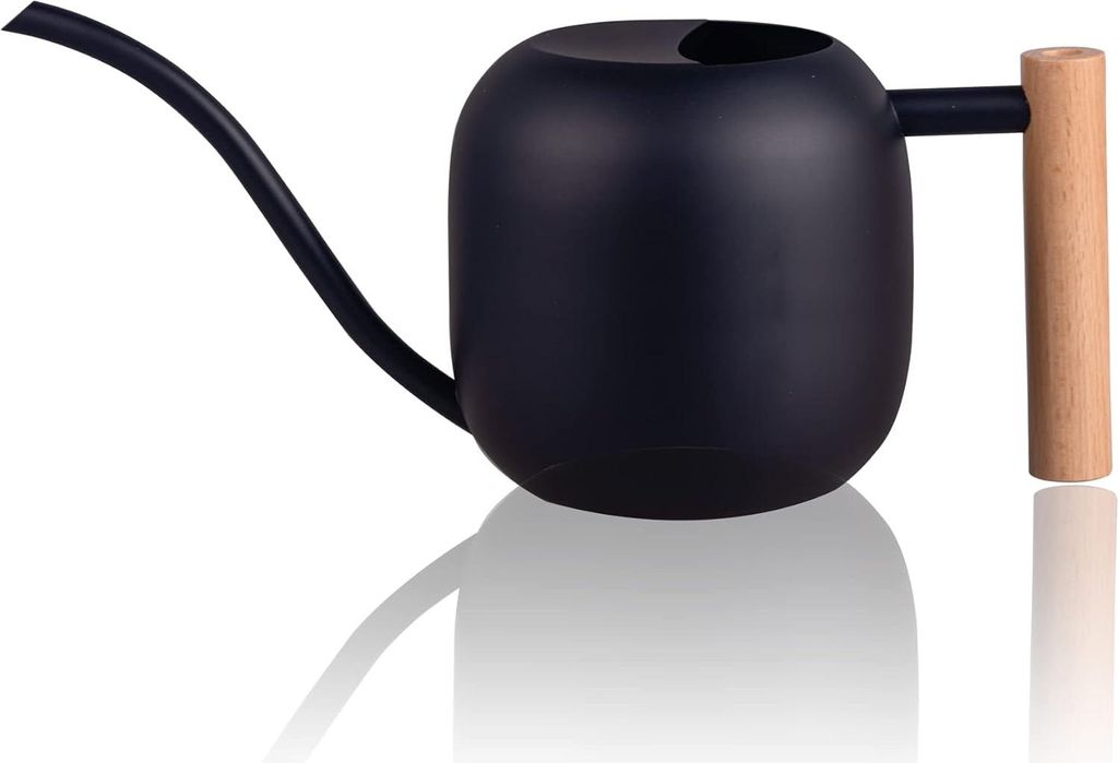 IMEEA 1 Liter Edelstahl Gießkanne mit Holzgriff - kleinere Topfpflanzen - langer Auslauf - Zimmerpflanzen und Sukkulenten - schwarz