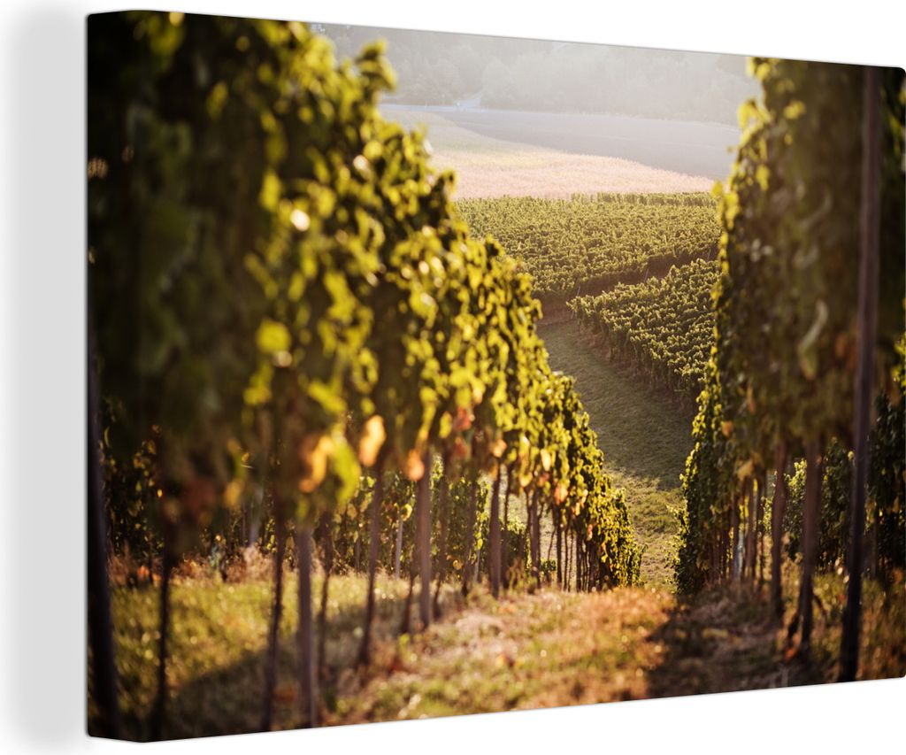 OneMillionCanvasses - Leinwandbilder - 140x90 cm, Weg durch einen Weinberg, Wandbilder Kunstdruck Wanddekoration - Foto auf Leinwand - Gemälde a...